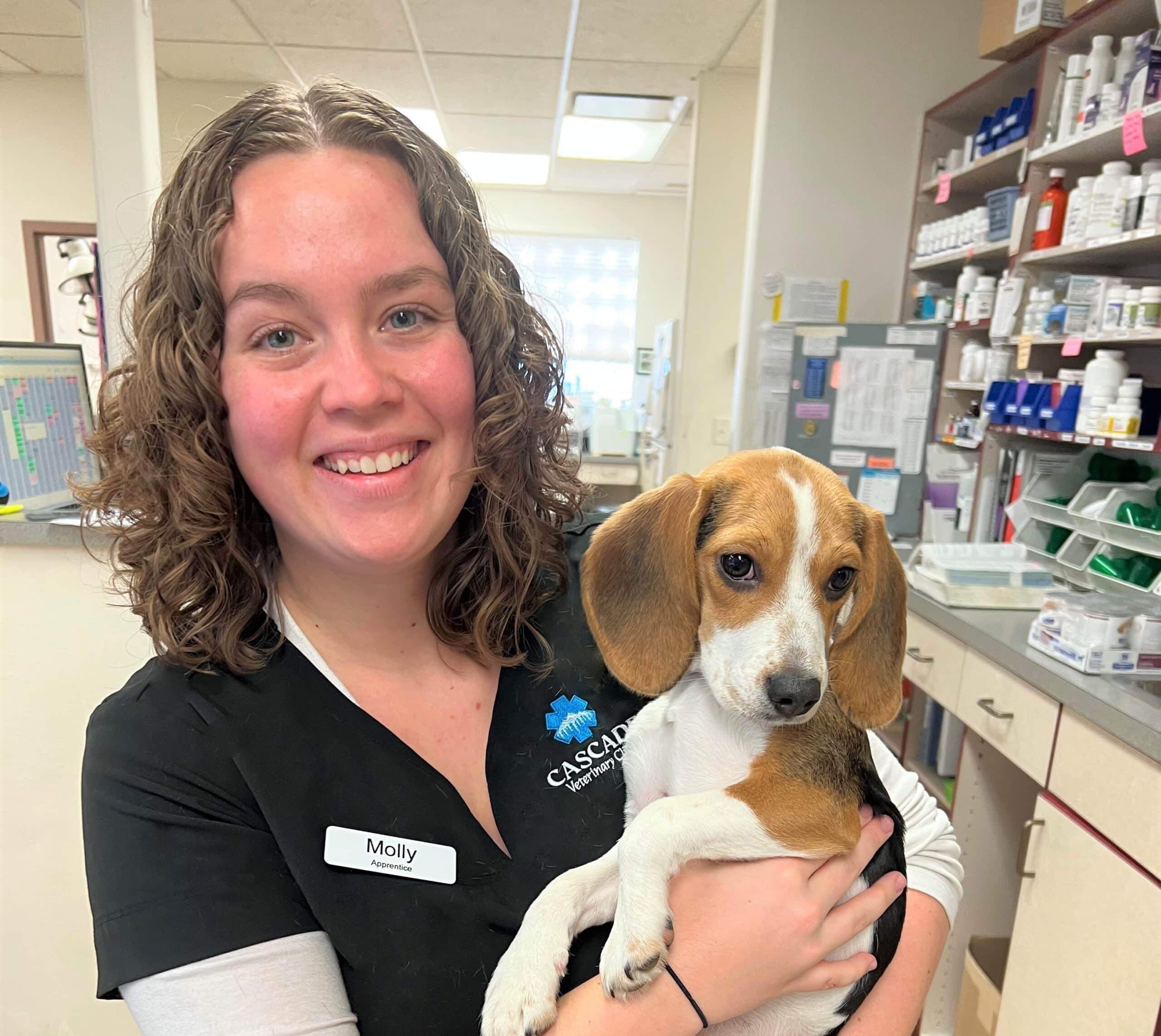 Molly Robertson, CVC Apprentice, stands in a clinic holding a small dog.